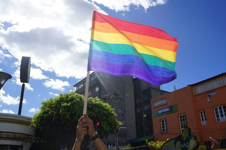 Bandera LGBTIQ+